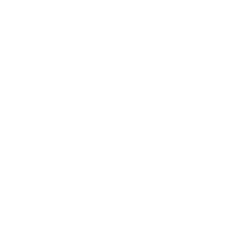 Slow Smoke Logo